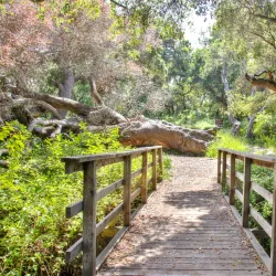Los Osos Oaks State Natural Reserve - Baywood-Los Osos