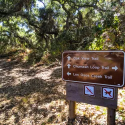 Los Osos Oaks State Natural Reserve - Baywood-Los Osos