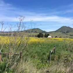 Los Osos Valley Road - Baywood-Los Osos