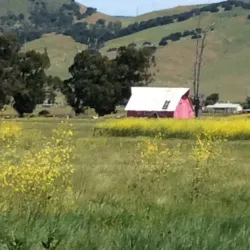Los Osos Valley Road - Baywood-Los Osos