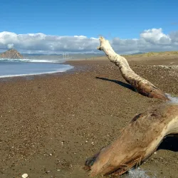 Morro Bay State Park - Baywood-Los Osos