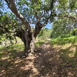Morro Bay State Park - Baywood-Los Osos