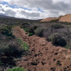 Morro Bay State Park - Baywood-Los Osos