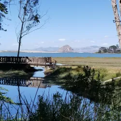 Sweet Springs Nature Preserve - Baywood-Los Osos