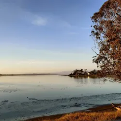 Sweet Springs Nature Preserve - Baywood-Los Osos