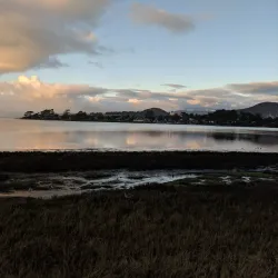 Sweet Springs Nature Preserve - Baywood-Los Osos