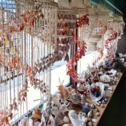 The Shell Shop - Baywood-Los Osos