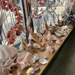 The Shell Shop - Baywood-Los Osos
