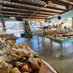 The Shell Shop - Baywood-Los Osos