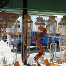 The Shell Shop - Baywood-Los Osos