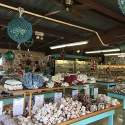 The Shell Shop - Baywood-Los Osos