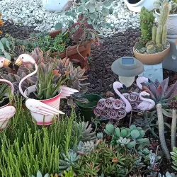 A picturesque scene in Beaumont