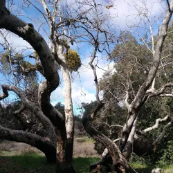 Beaumont Basin Trail - Beaumont