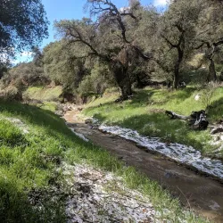 Beaumont Basin Trail - Beaumont