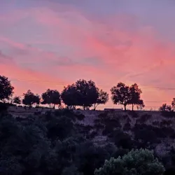 Beaumont Basin Trail - Beaumont