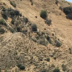 San Gorgonio Memorial Park - Beaumont