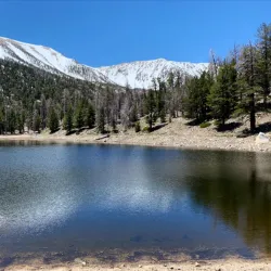 San Gorgonio Pass Wildlife Area - Beaumont