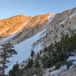 San Gorgonio Pass Wildlife Area - Beaumont