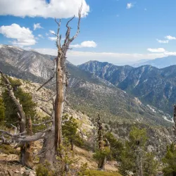San Gorgonio Pass Wildlife Area - Beaumont