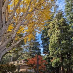 Belmont Community Center - Belmont