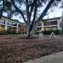 Belmont Library - Belmont