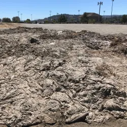 Belmont Sports Complex - Belmont