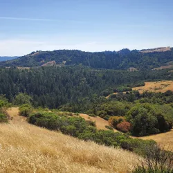 O'Neill Open Space Preserve - Belmont
