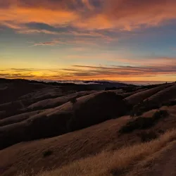 O'Neill Open Space Preserve - Belmont