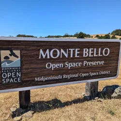 O'Neill Open Space Preserve - Belmont