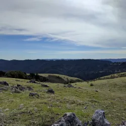 O'Neill Open Space Preserve - Belmont