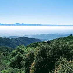O'Neill Open Space Preserve - Belmont