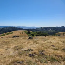 O'Neill Open Space Preserve - Belmont