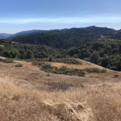 O'Neill Open Space Preserve - Belmont