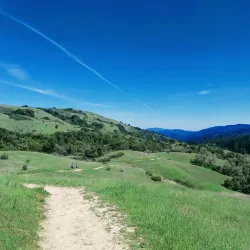 O'Neill Open Space Preserve - Belmont