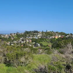 San Juan Hills Open Space - Belmont