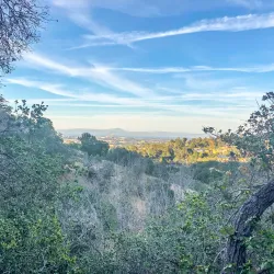 San Juan Hills Open Space - Belmont