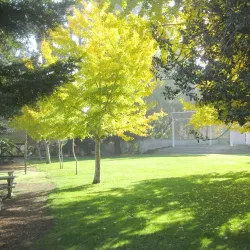 Twin Pines Park - Belmont