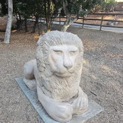 Twin Pines Park - Belmont