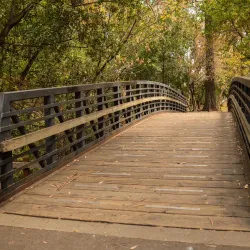 Twin Pines Park - Belmont