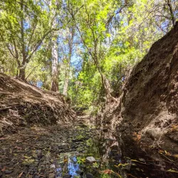 Twin Pines Park - Belmont