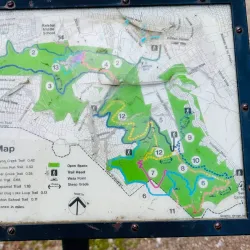 Waterdog Lake Park - Belmont