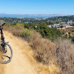 Waterdog Lake Park - Belmont