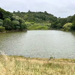Waterdog Lake Park - Belmont