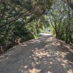 Waterdog Lake Park - Belmont