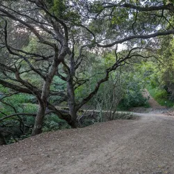 Waterdog Lake Park - Belmont