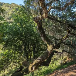 Waterdog Lake Park - Belmont