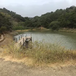 Waterdog Open Space Preserve - Belmont