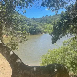 Waterdog Open Space Preserve - Belmont