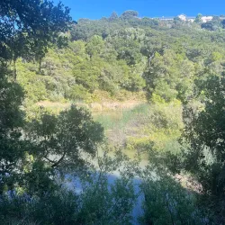 Waterdog Open Space Preserve - Belmont