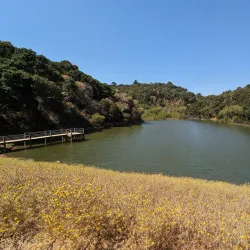 Waterdog Open Space Preserve - Belmont